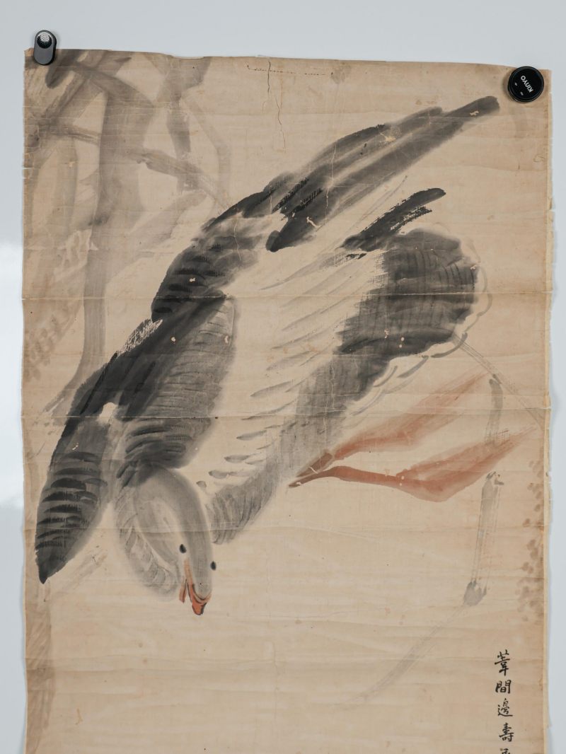  边寿民 （1684-1752）  清 花鸟 - 图5