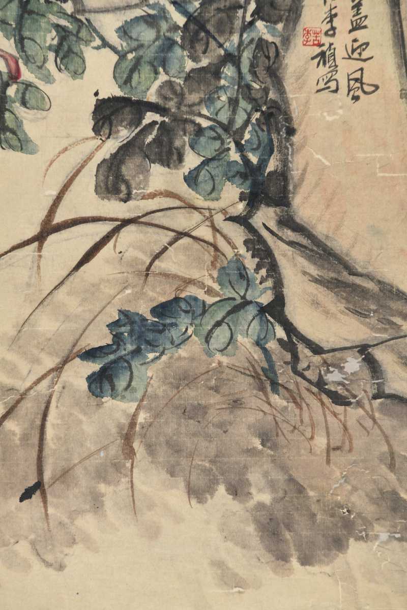  李苦李 花卉 - 图7