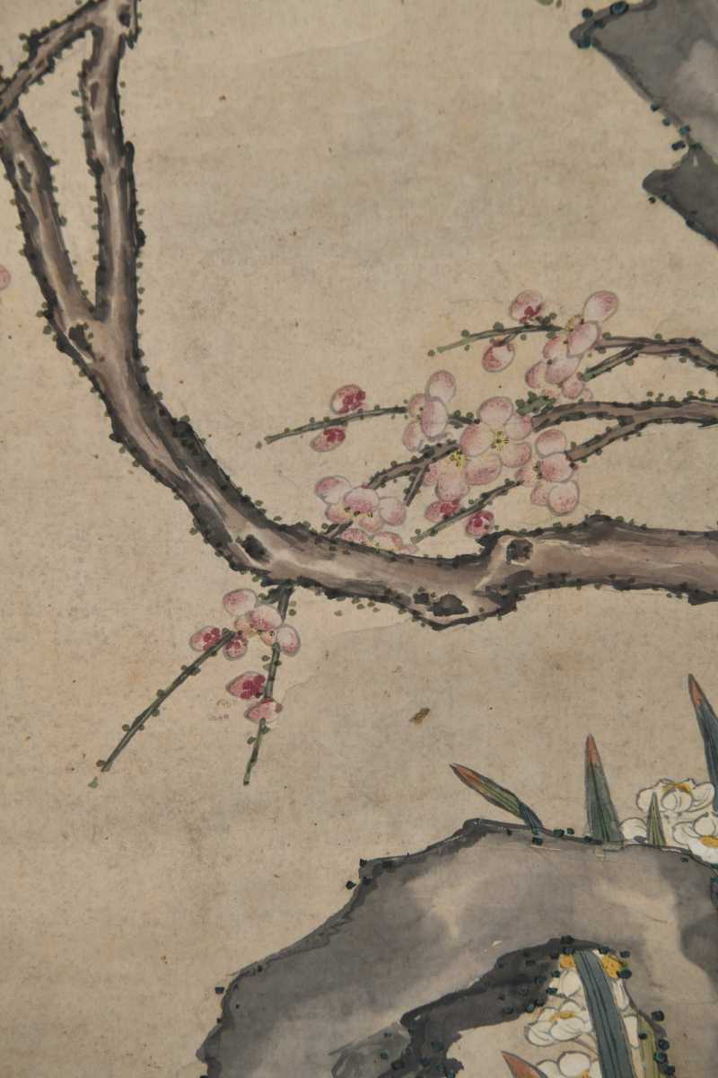  无款 花鸟 - 图7