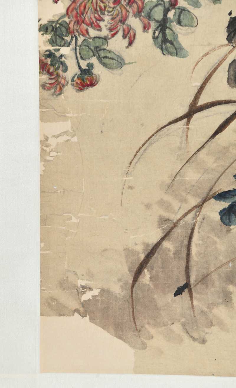  李苦李 花卉 - 图8