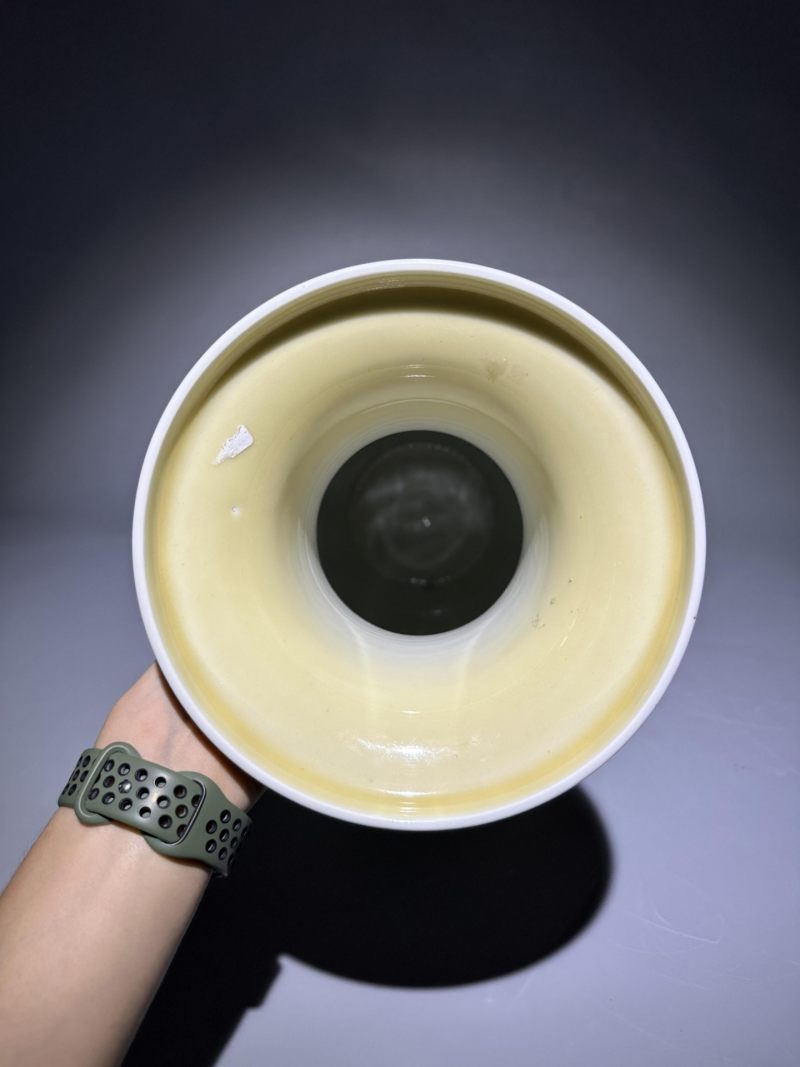    黄釉堆白花鸟纹花瓶 - 图3