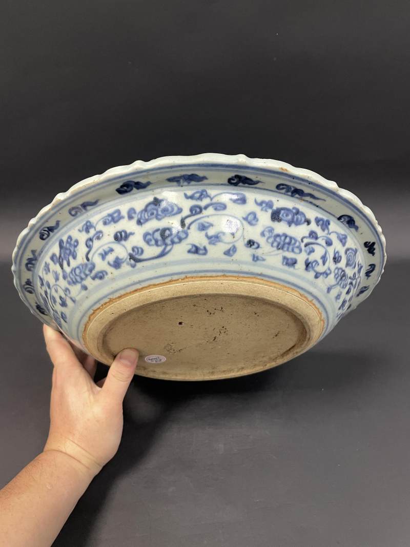 明中期 青花鱼藻纹花口折沿大盘 - 图10