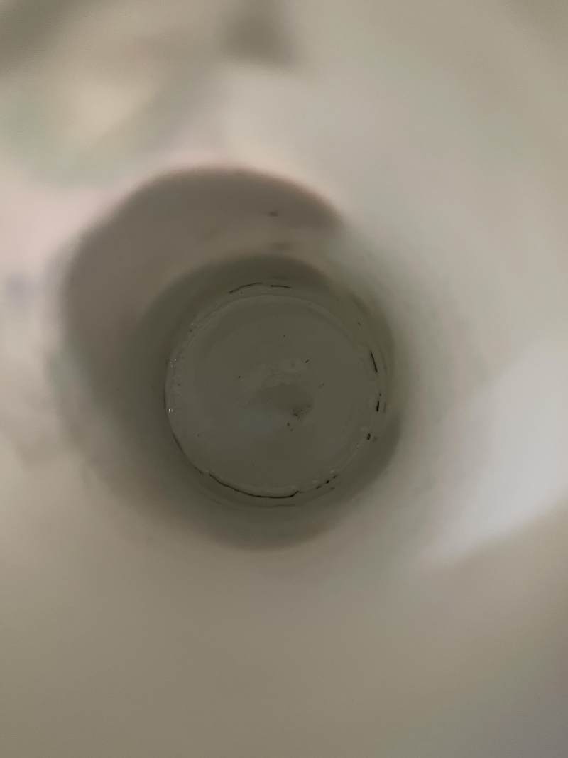 民国 粉彩刘海戏金蟾图小瓶一对 - 图8