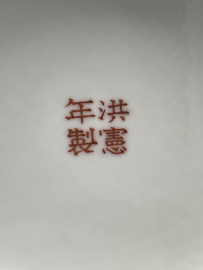 民国 粉彩花果纹赏瓶 - 图10