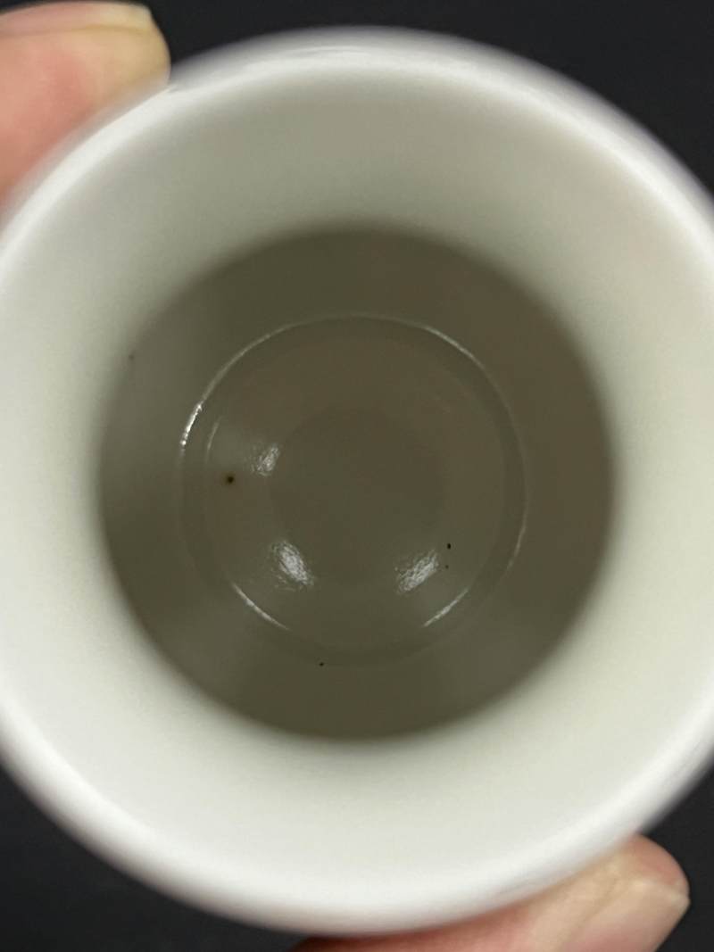 民国 粉彩杏林春燕诗文小瓶一对 - 图6