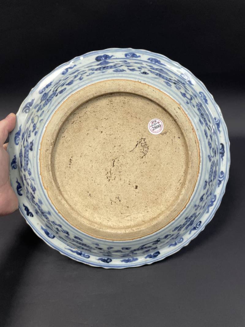 明中期 青花鱼藻纹花口折沿大盘 - 图11