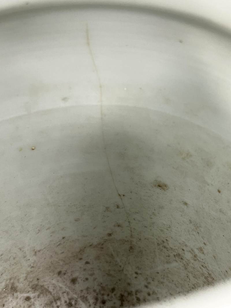 清中期 青花花卉纹壮罐 - 图9
