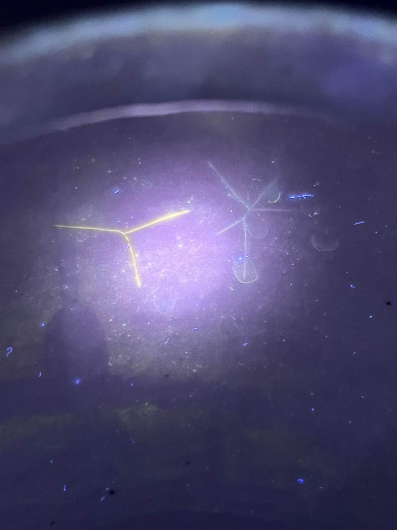 清雍正 青花缠枝花卉纹天字罐 - 图11