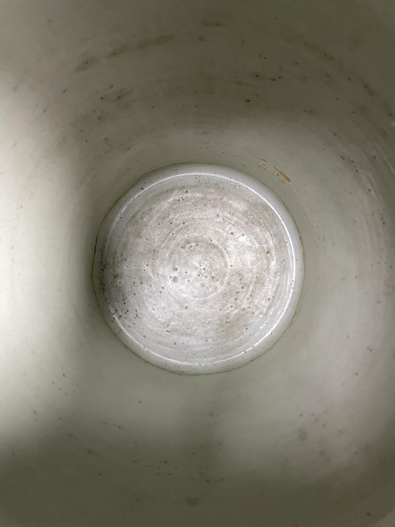 明晚期 青花“清白礼贵”鱼藻纹大罐 - 图11