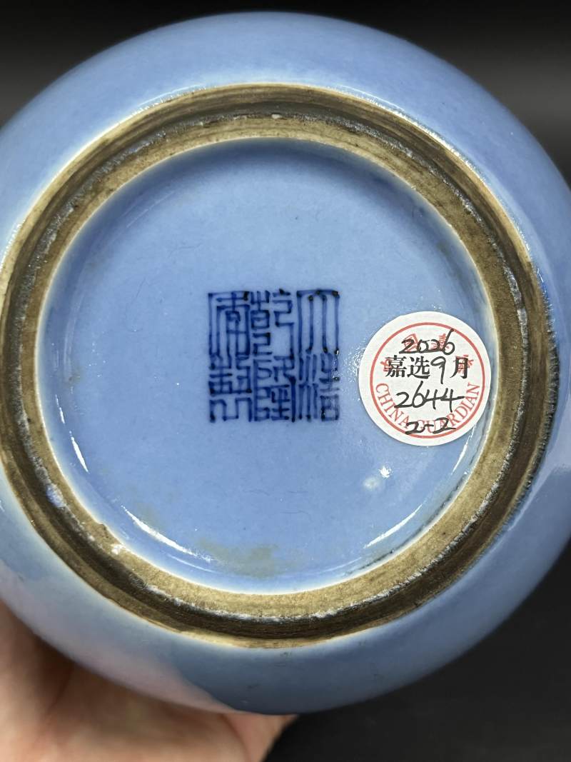 清晚期 天蓝釉蟠螭瓶、罐各一件 - 图19
