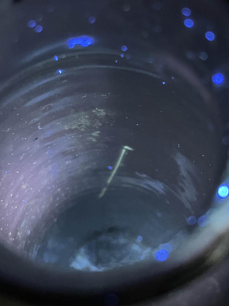 明崇祯 青花花鸟纹小筒瓶 - 图14