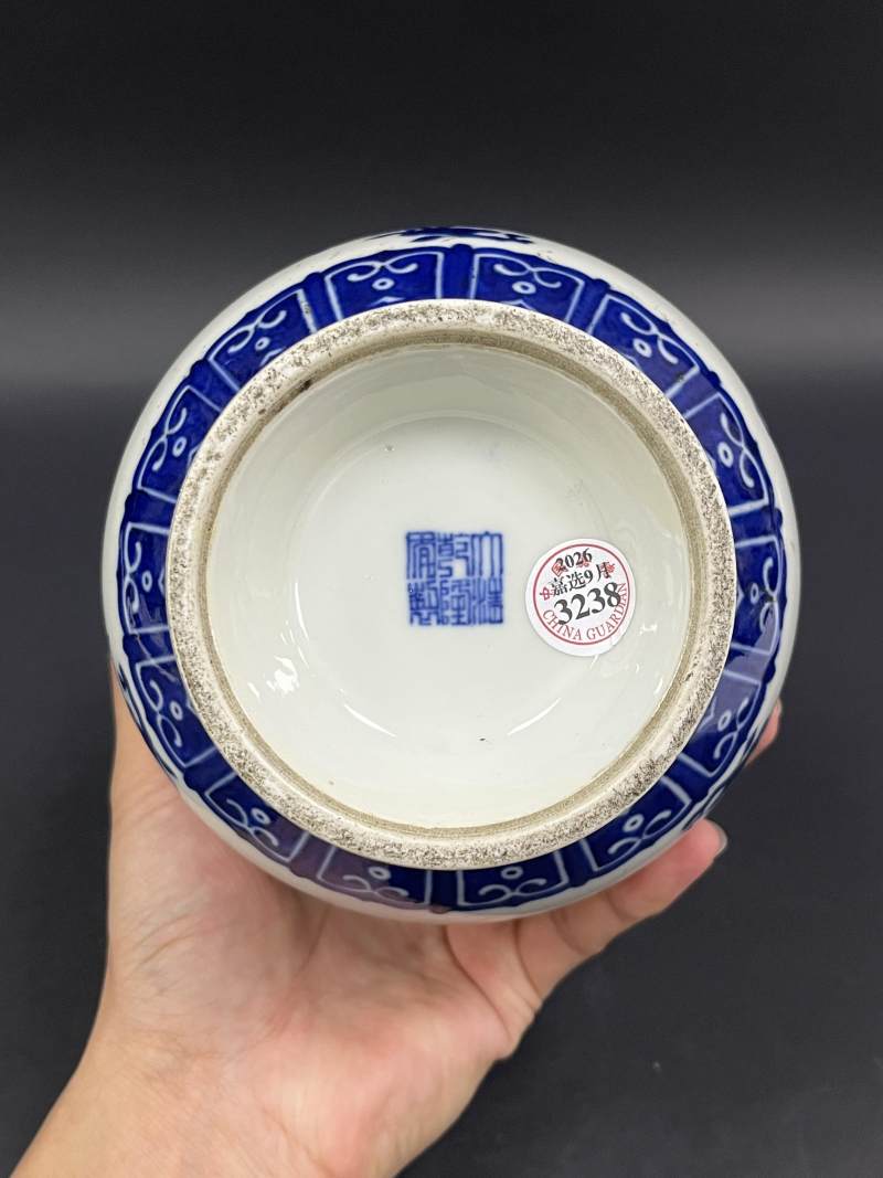 清晚期 青花折枝花果纹蒜头瓶 - 图6