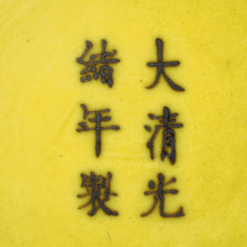 清光绪 黄地绿龙纹盘 - 图12