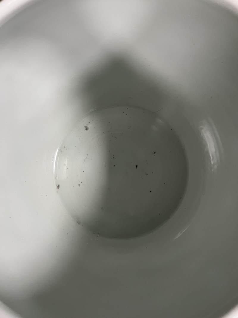 清光绪 松石绿地墨彩花鸟纹缸 - 图7