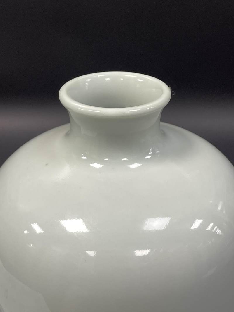 清雍正 粉青釉灯笼瓶 - 图5