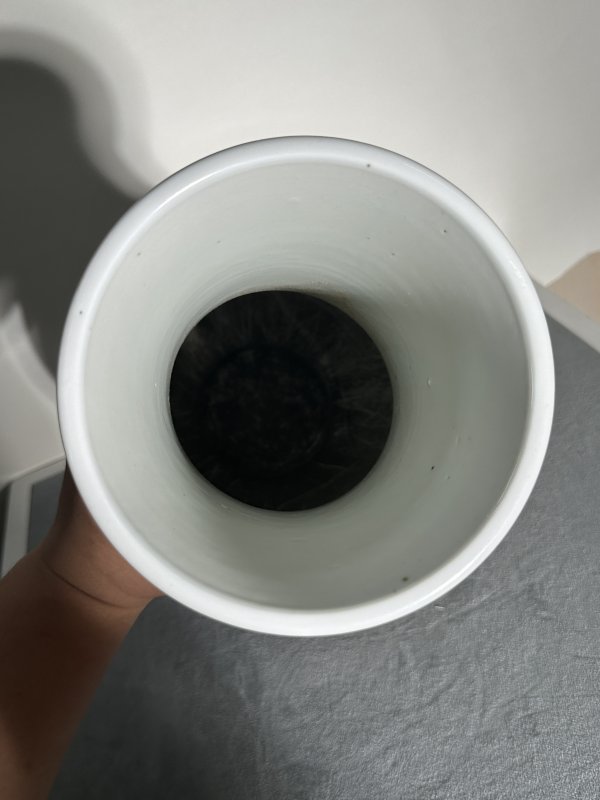 清晚期 粉彩人物琵琶尊 - 图12