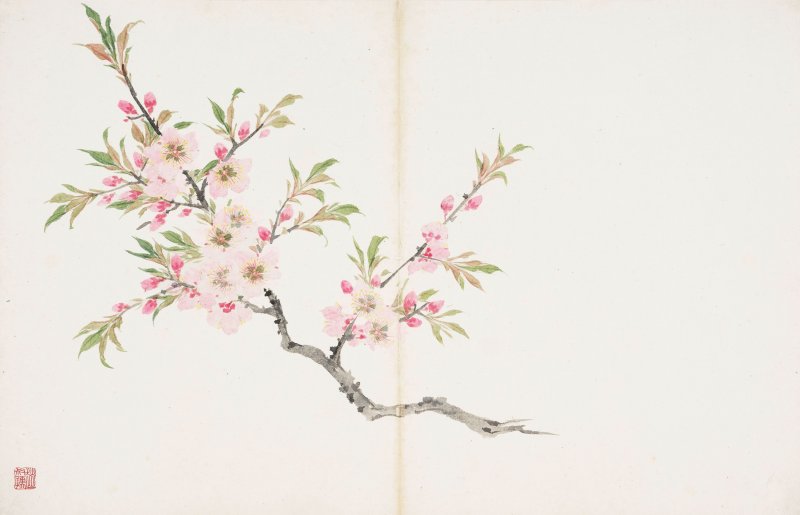 趙叔孺、沈尹默　書畫合璧冊　水墨、設色紙本　冊頁十二開 | ZHAO SHURU (1874-1945); SHEN YINMO (1887-1971) - 图14