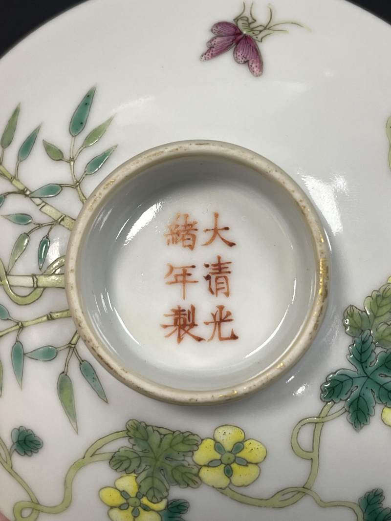 清光绪 粉彩过枝癞瓜纹盖碗 - 图14