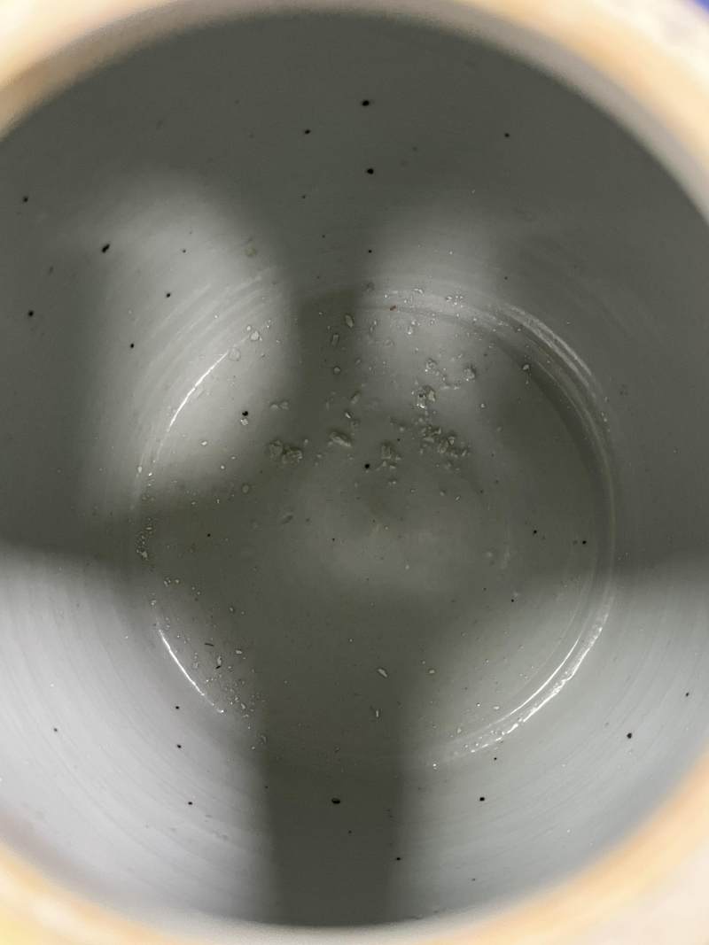 清中期 蓝釉粉彩花蝶纹罐一对 - 图7