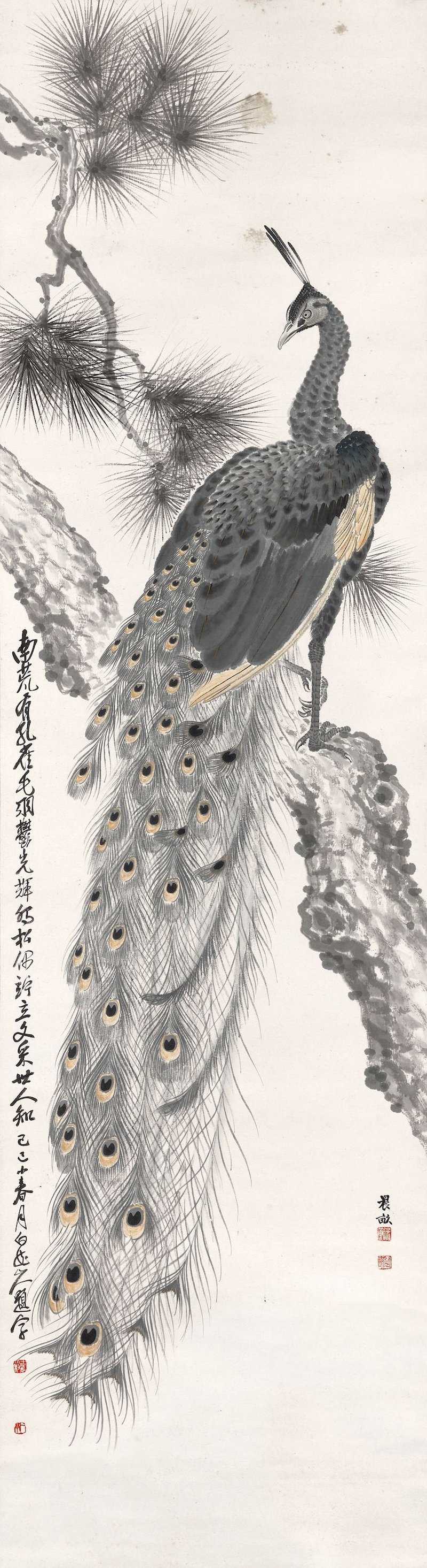 渡邊晨畝　南荒有孔雀　設色紙本　立軸 | WATANABE SHINPO (1867-1938)