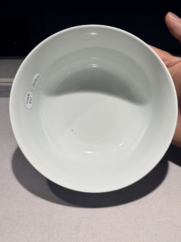 清道光 青花缠枝牡丹纹宫碗一对 - 图61