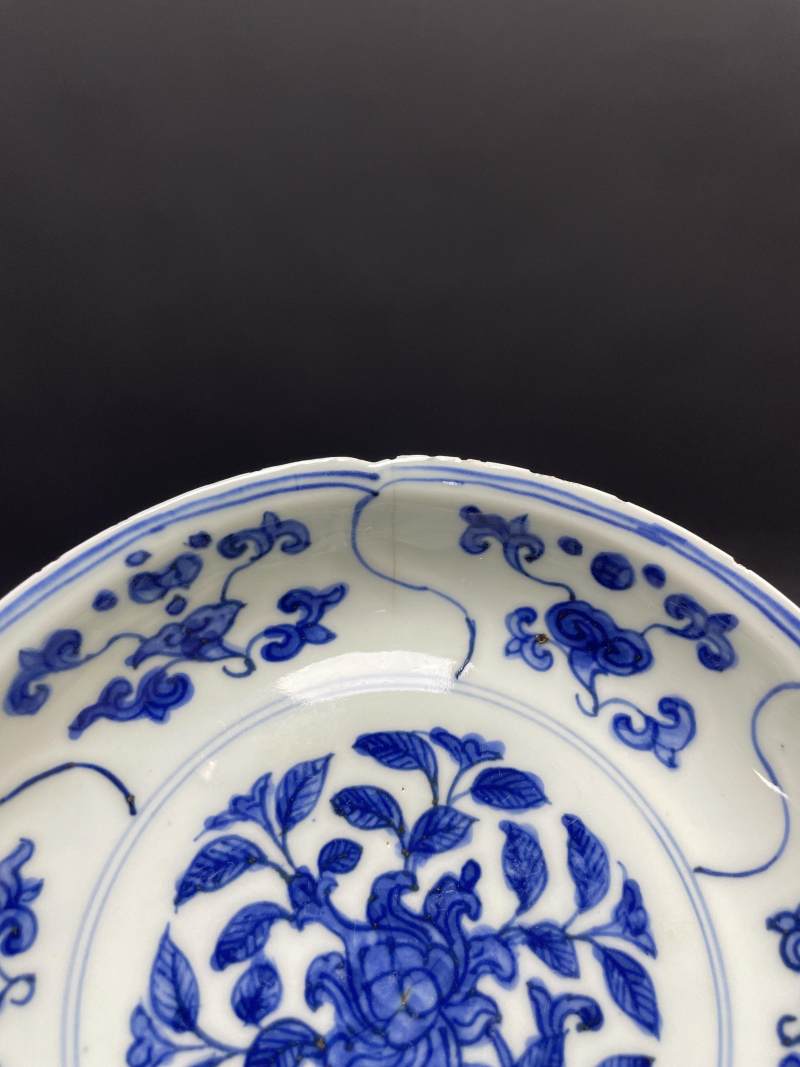 明嘉靖 青花开光折枝花卉纹花口盘 - 图13
