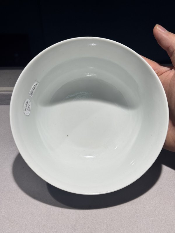 清道光 青花缠枝牡丹纹宫碗一对 - 图62