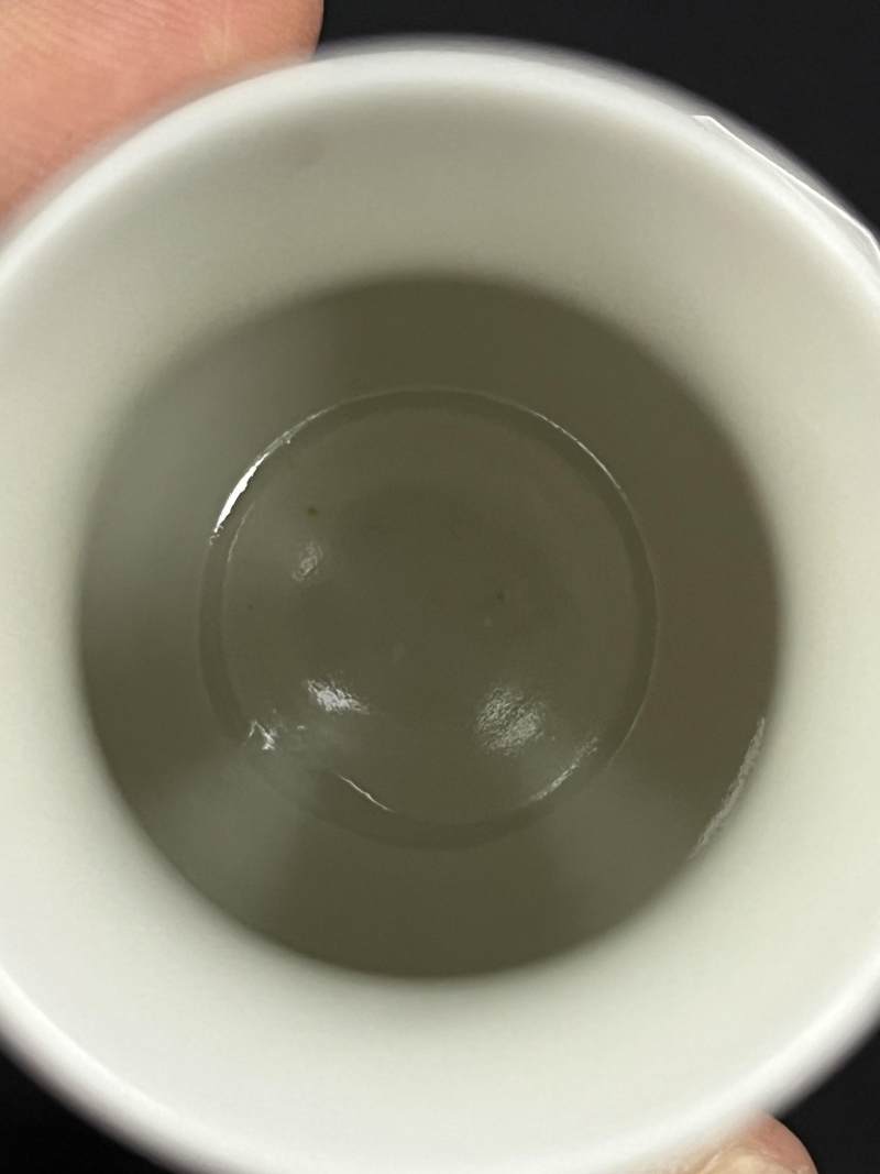 民国 粉彩杏林春燕诗文小瓶一对 - 图15
