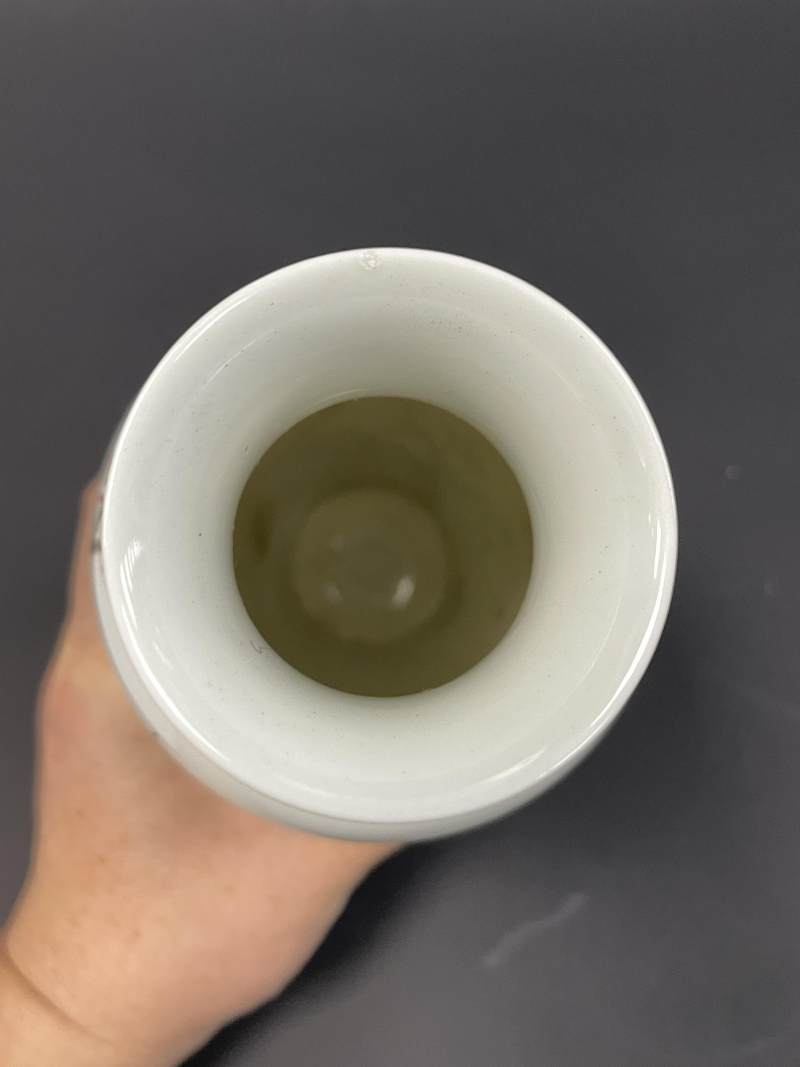 民国 粉彩喜鹊登梅纹瓶一对 - 图17