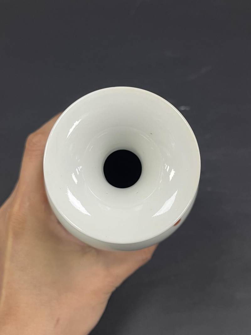 清康熙 五彩花鸟纹莱菔瓶 - 图7