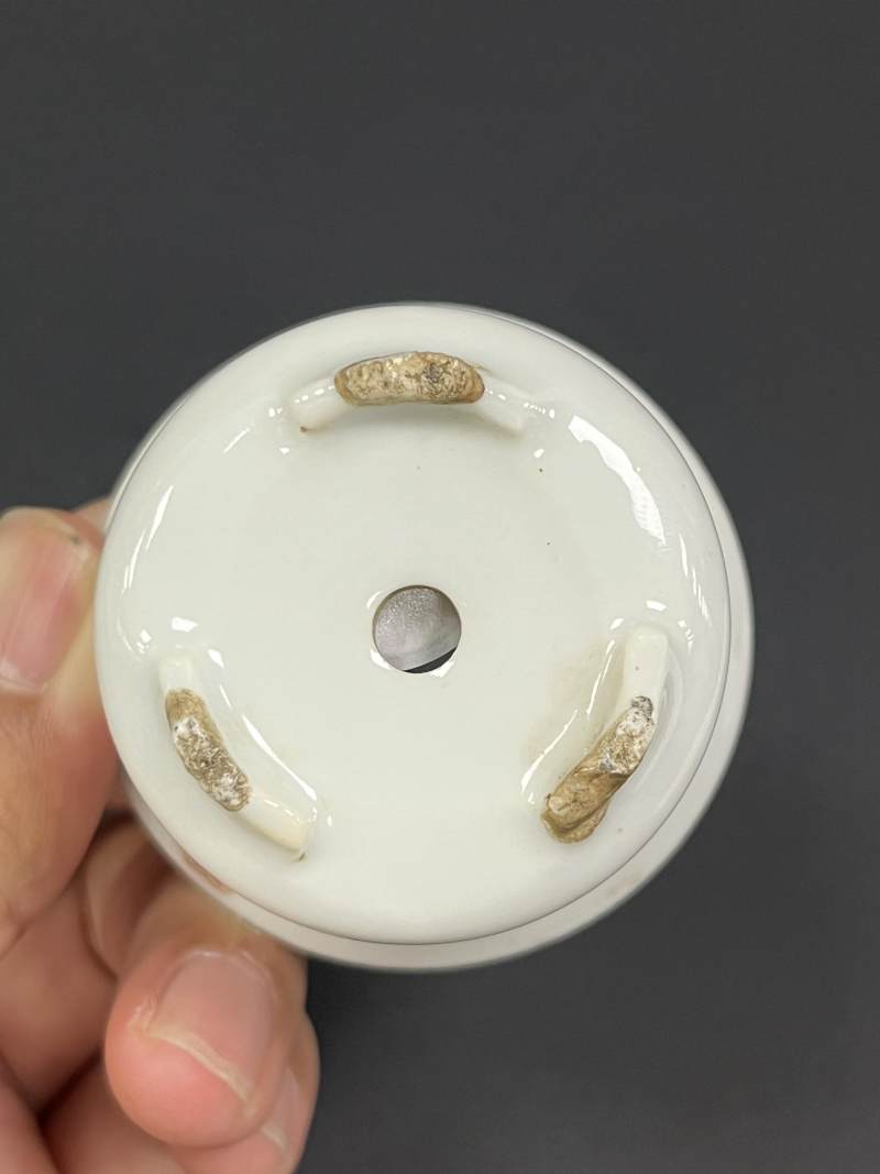 清中期 粉彩芦雁图小菖蒲盆一对 - 图16