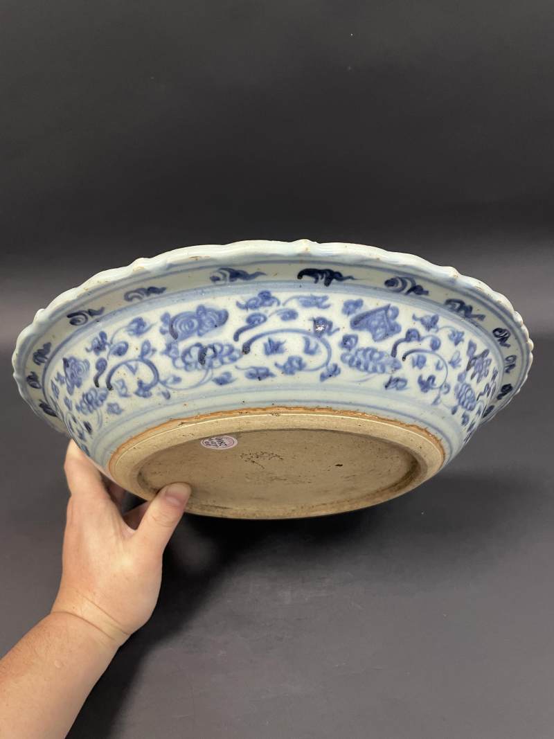 明中期 青花鱼藻纹花口折沿大盘 - 图9