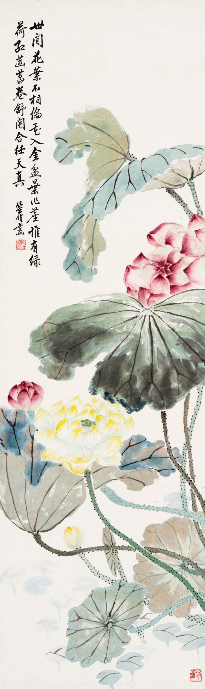 商笙伯 绿荷红菡萏