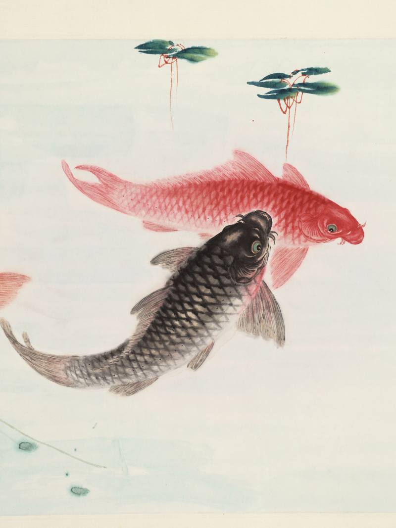 庚申（1980年）作 吴青霞 鱼乐图 - 图3
