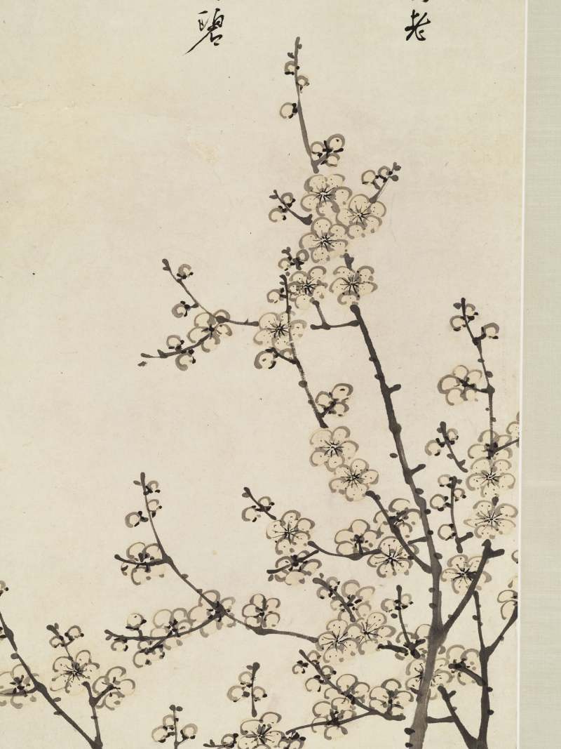 丙午（1906年）作 松年 月夜梅花 - 图9
