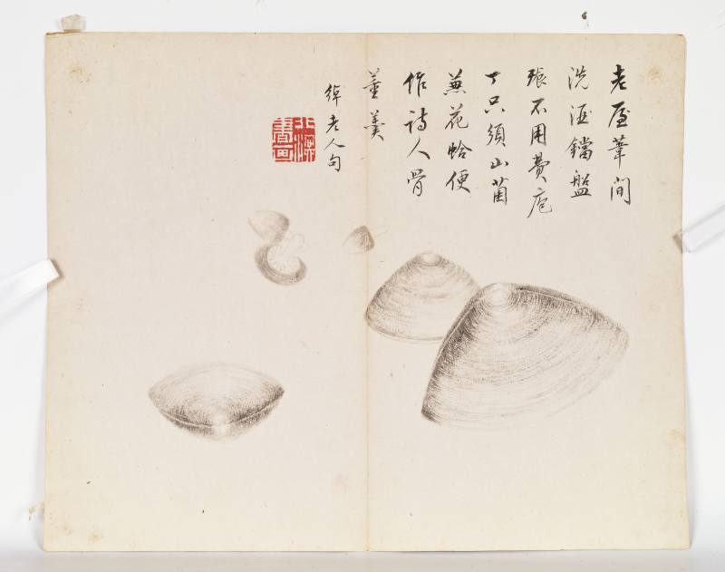 己巳（1929年）作 叶瀚 花鸟册 - 图48