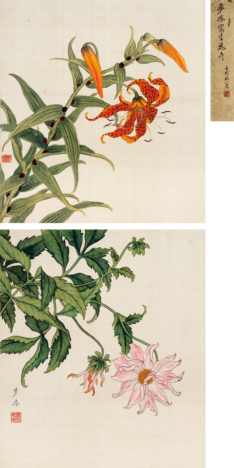 孙云 仿恽寿平花卉