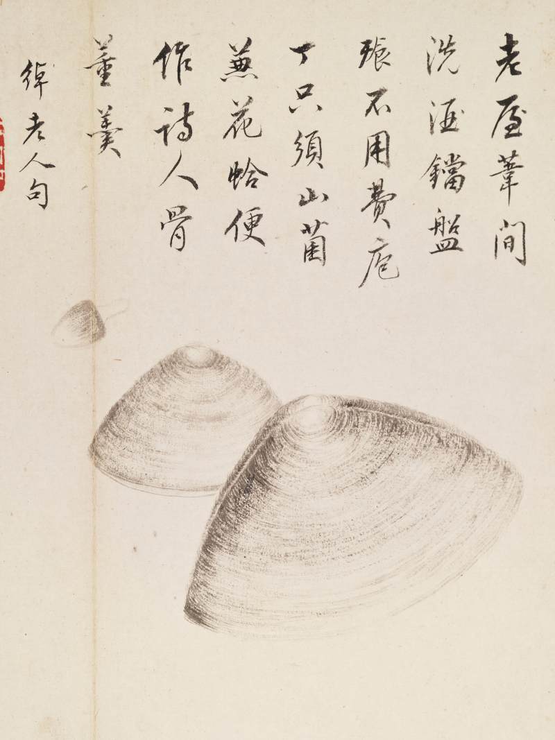 己巳（1929年）作 叶瀚 花鸟册 - 图50