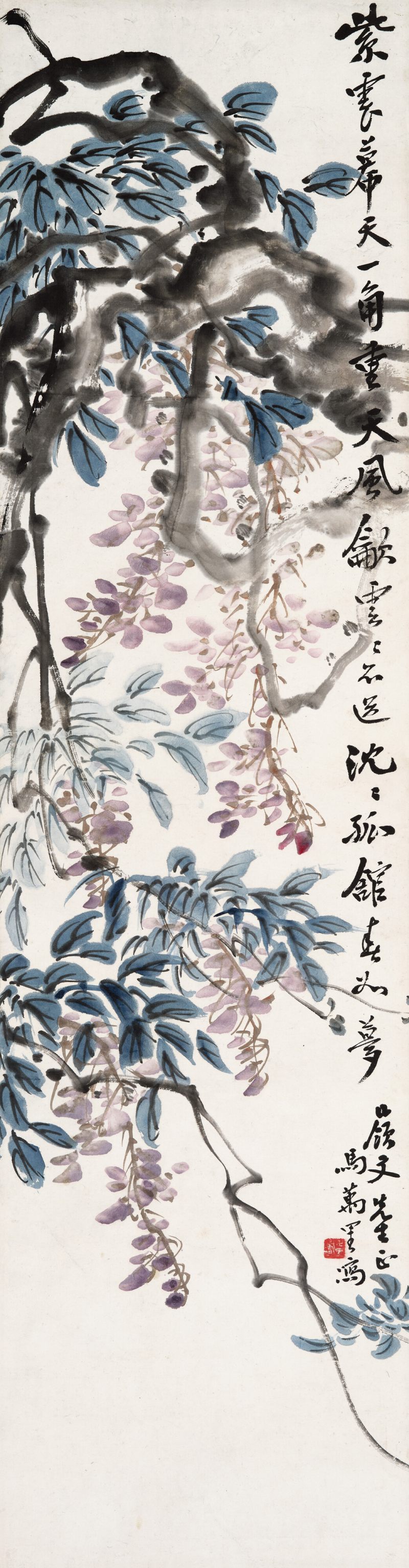 马万里 紫藤花