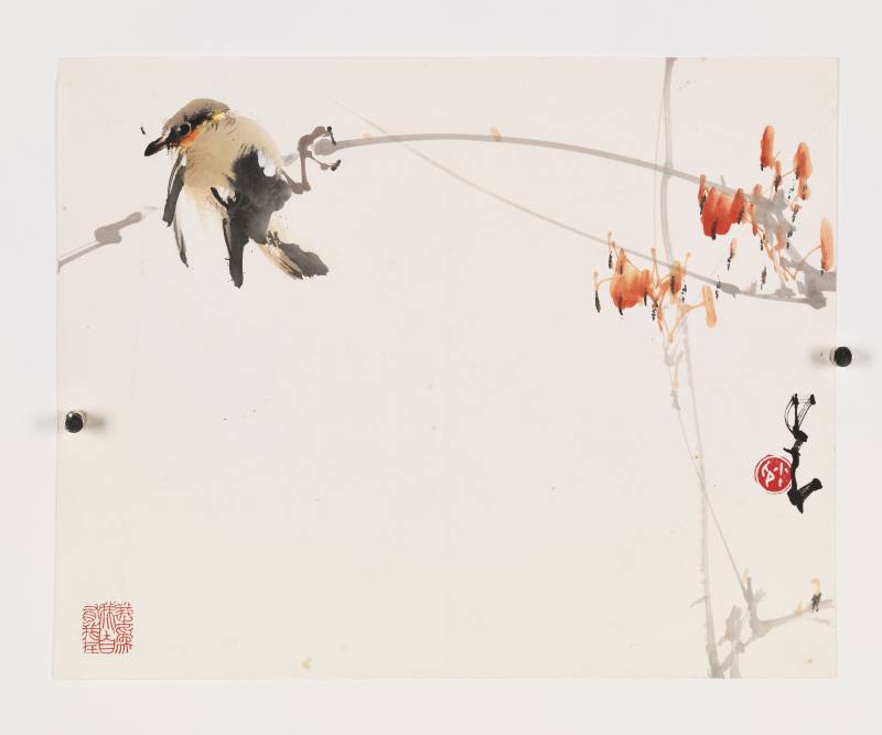 赵少昂 花枝小鸟二帧 - 图9