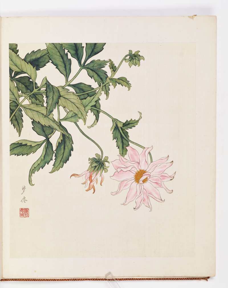 孙云 仿恽寿平花卉 - 图4