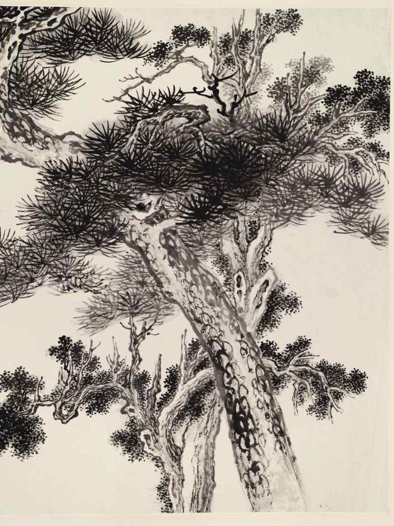 辛巳（1941年）作 溥伒 松柏长青 - 图3