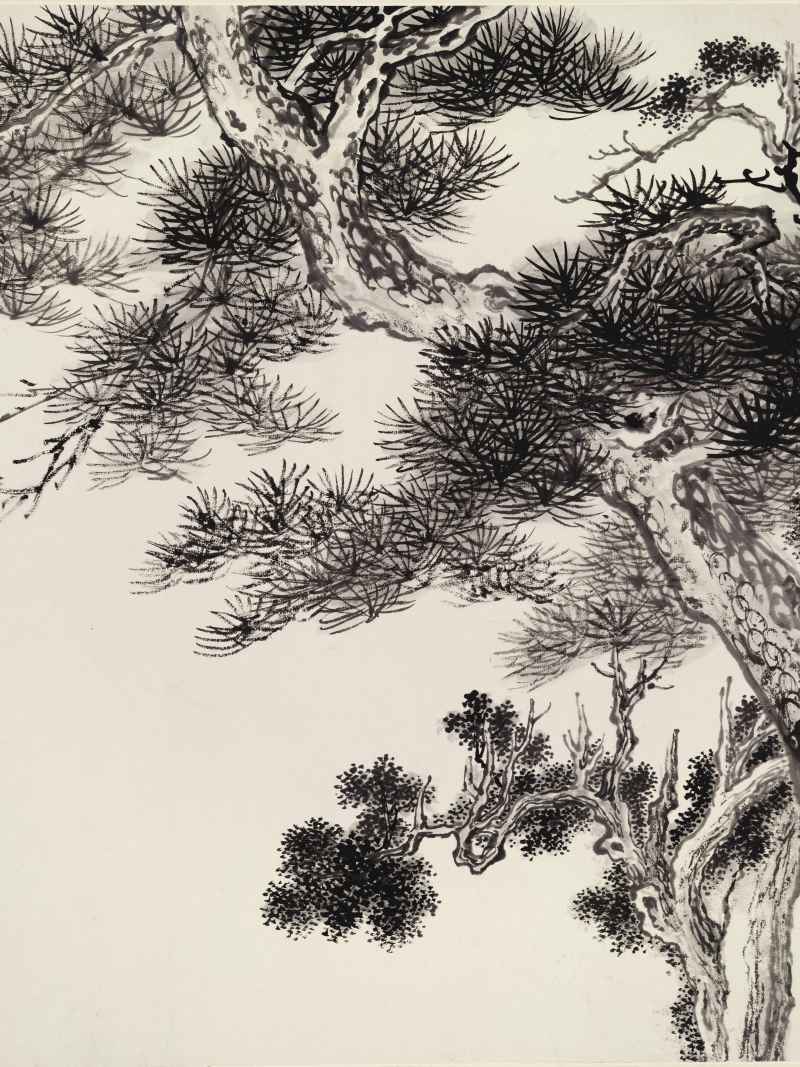 辛巳（1941年）作 溥伒 松柏长青 - 图4