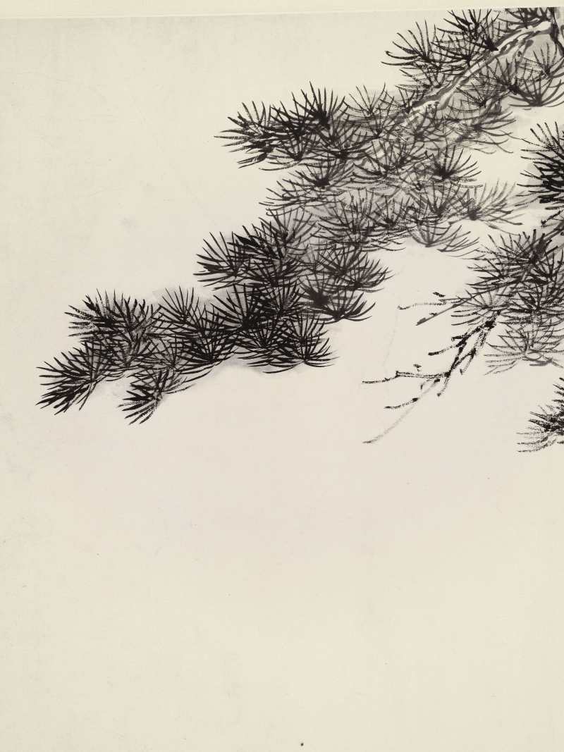 辛巳（1941年）作 溥伒 松柏长青 - 图5