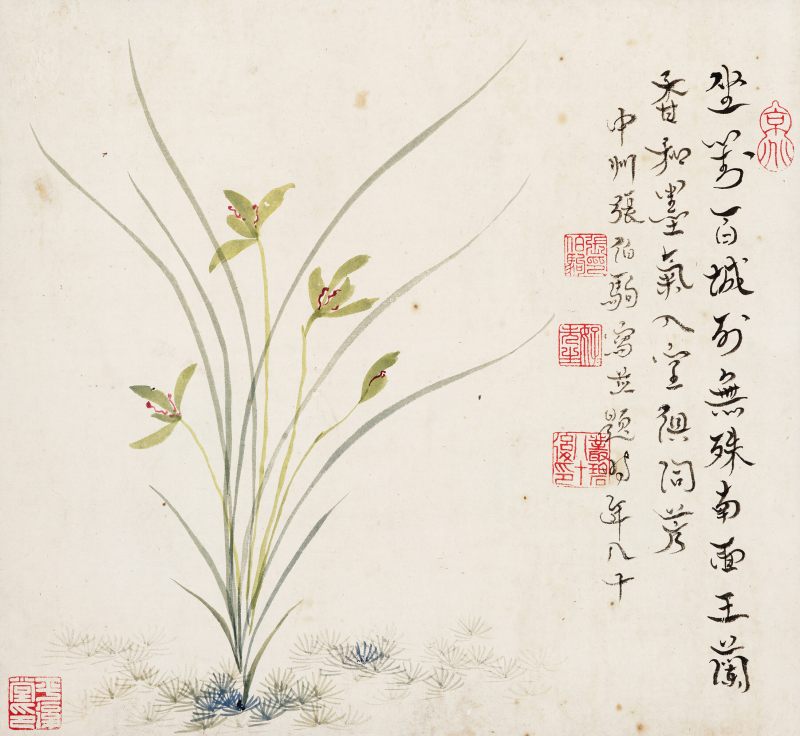 张伯驹 兰花