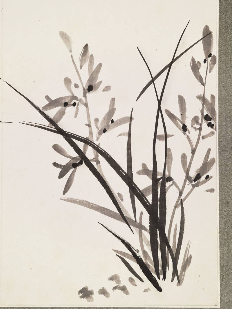 陈师曾 兰竹册 - 图40