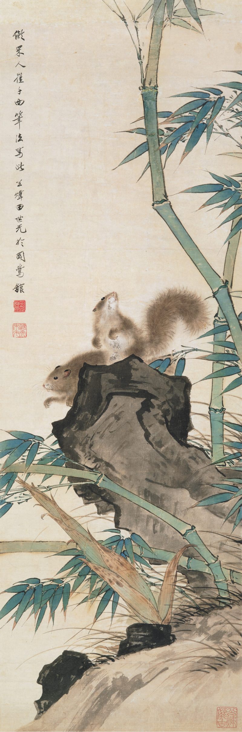 田世光 竹鼠
