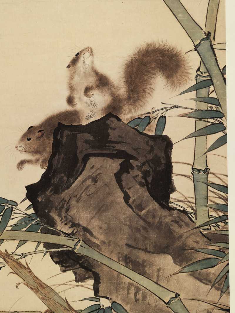 田世光 竹鼠 - 图3
