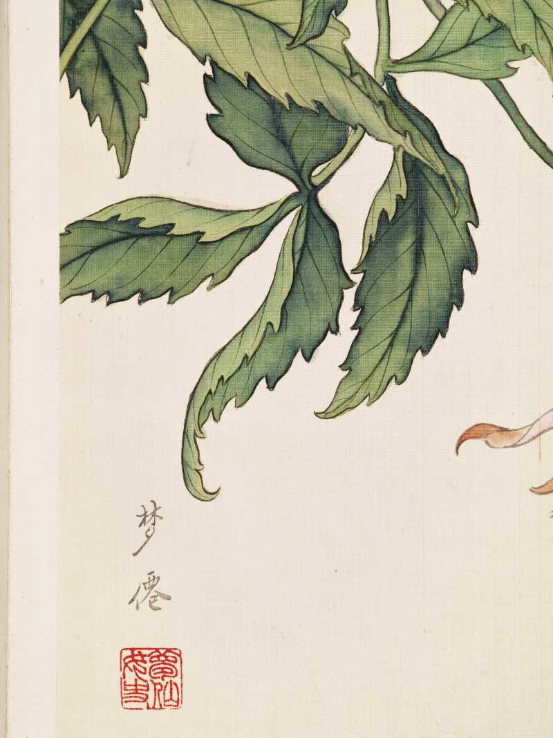 孙云 仿恽寿平花卉 - 图6