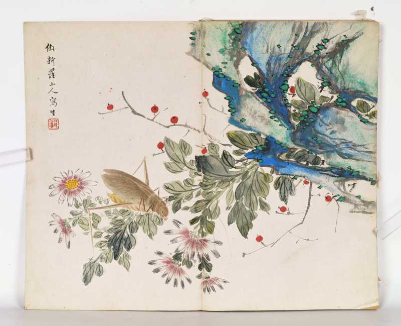 己巳（1929年）作 叶瀚 花鸟册 - 图3